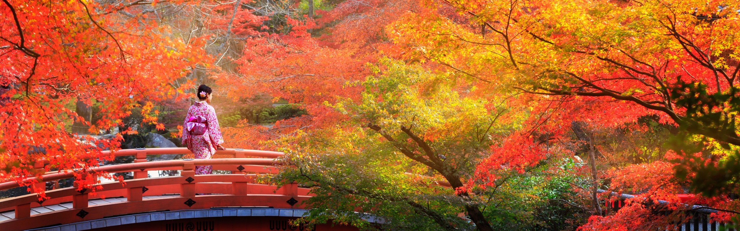 Japan Weather in November