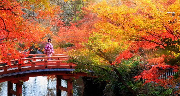 Enjoy Colorful Autumn Leaves in Japan