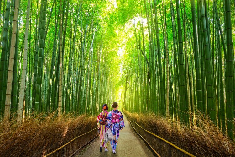 Arashiyama Bamboo forest