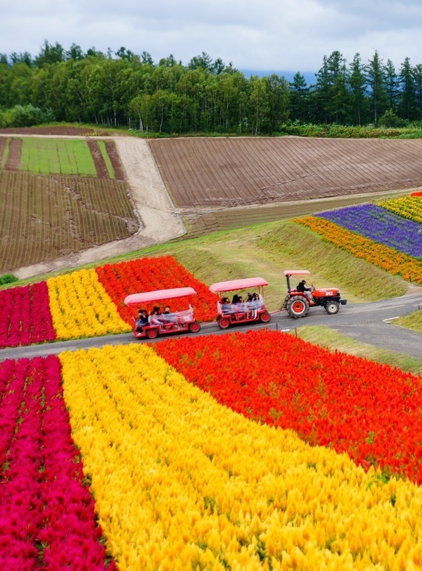 Hokkaido summer tour