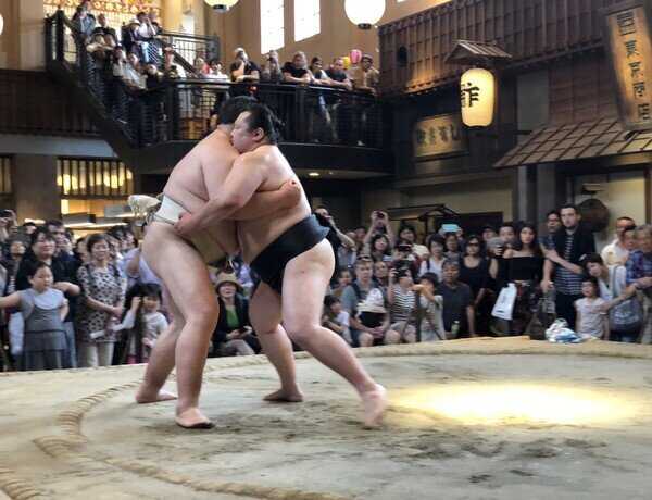 Sumo training