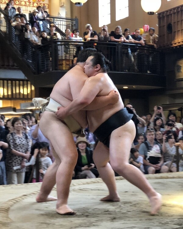 Sumo wrestling
