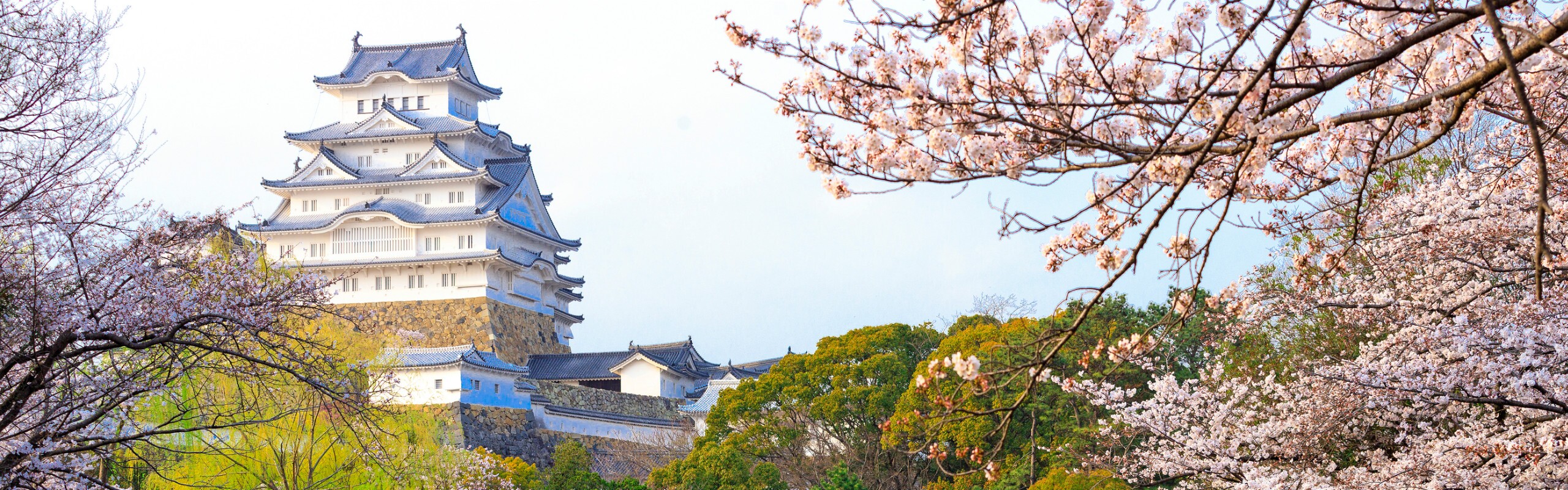 Japan in March