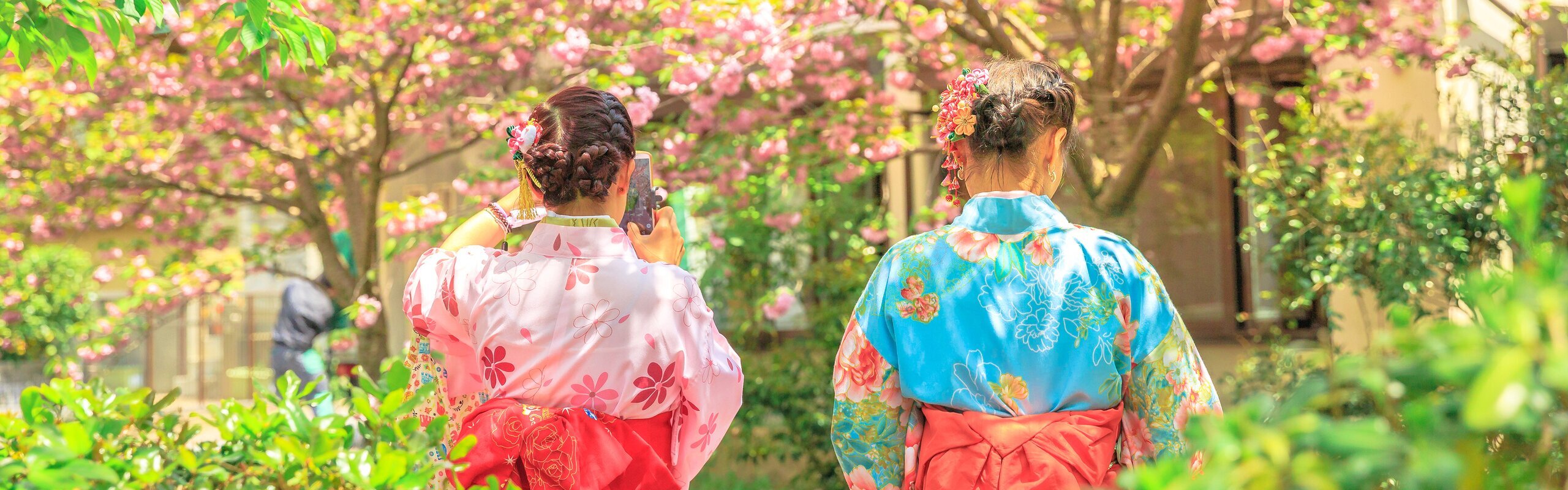 Japanese Kimono Experience: Where to Rent and Wear a Kimono in Japan