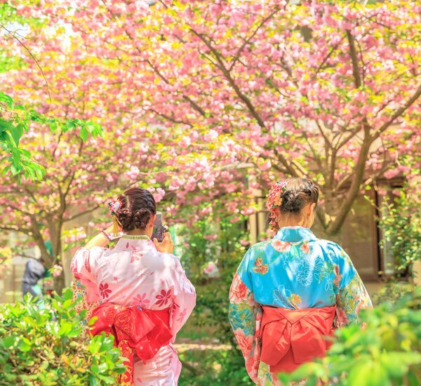 Traditional kimono experience in Japan showcasing various seasonal kimono styles and colors, demonstrating the variety of options for garden photography