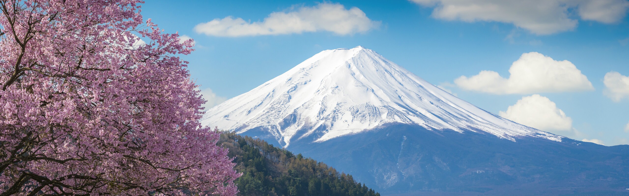 Best & Worst Time to Visit Japan 2025/2026 (First-Timer Guide)