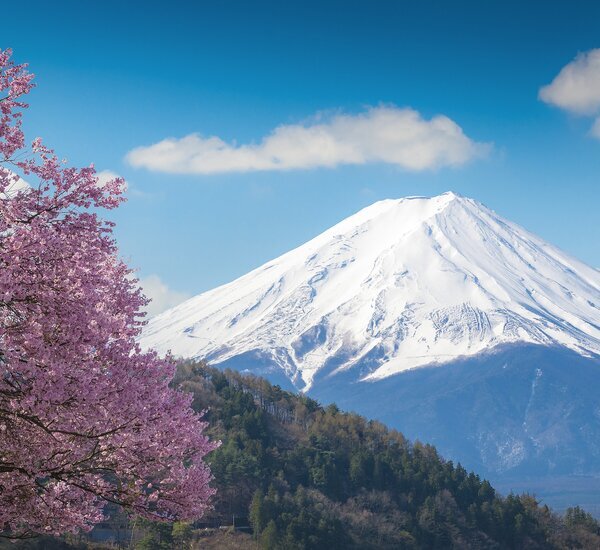 tradeshow in japan 2026 part 1