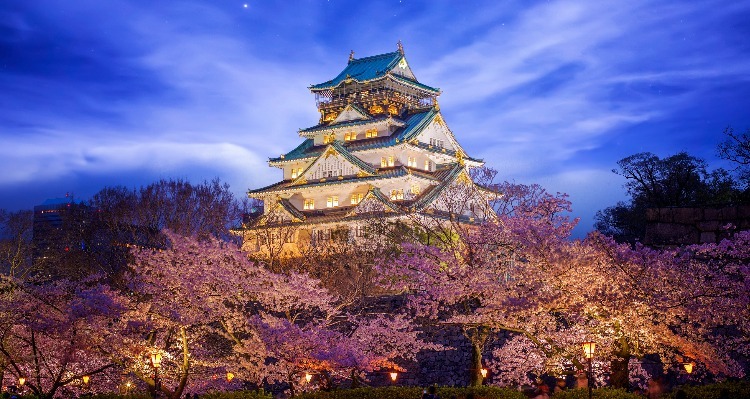 Osaka Castle with cherry blossoms at night