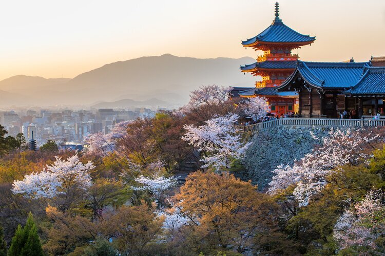 Kiyomizu-dera Temple cherry blossoms