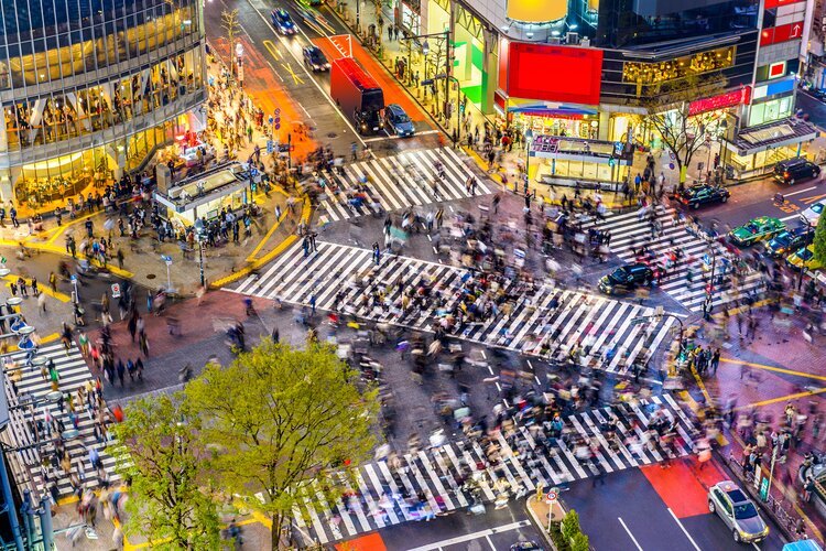 Shibuya is one of the popular shopping areas in Tokyo