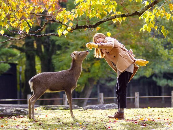 Nara Park