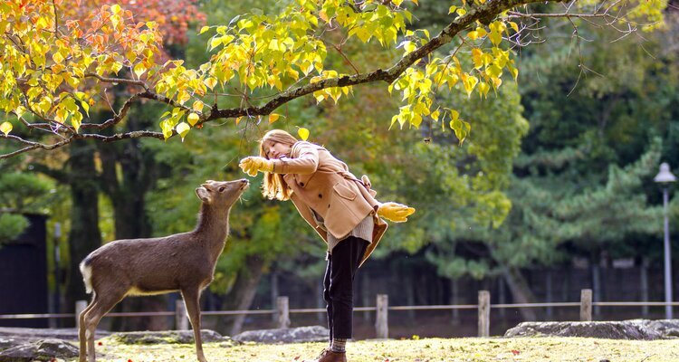 nara