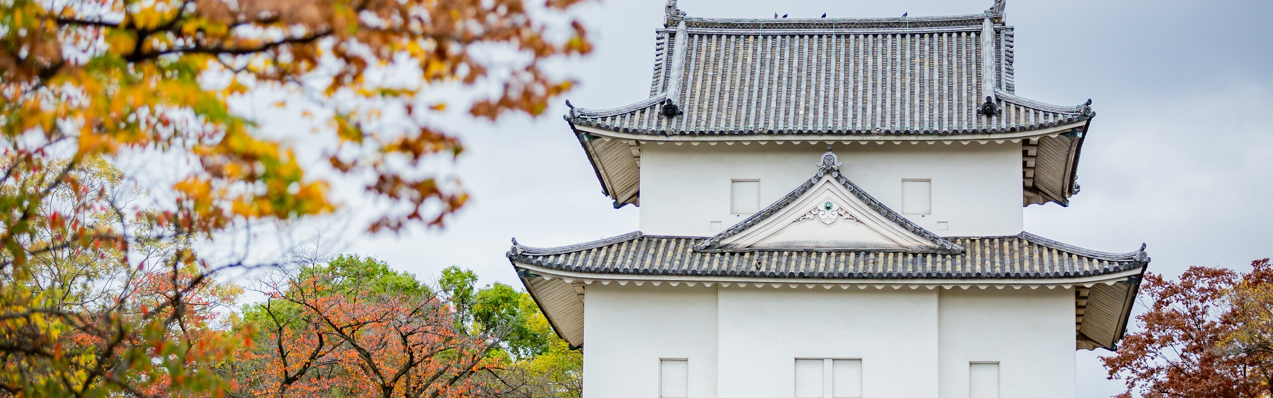 Top 9 Things to Do in Osaka
