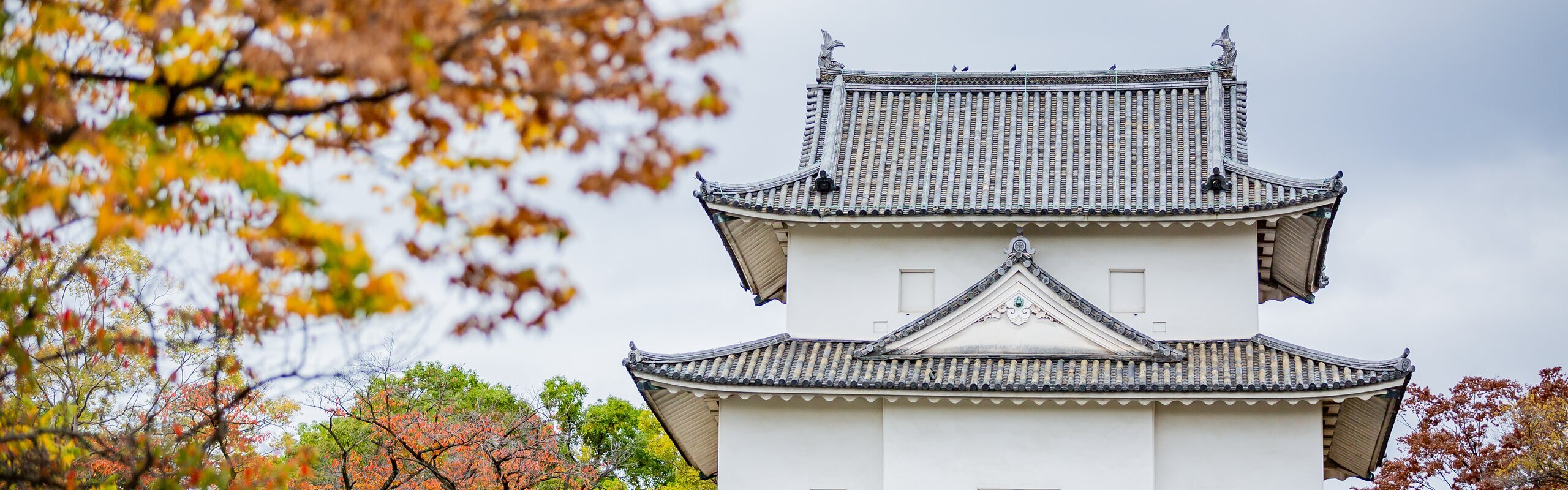 Osaka Weather in November