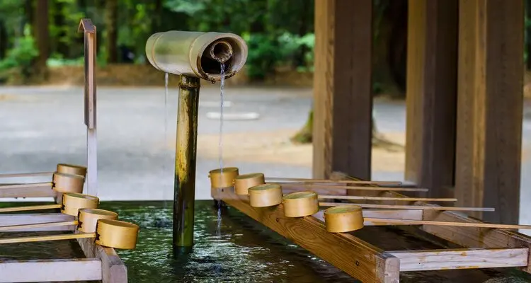 Pre-shrine purification ritual at Meiji Shrine