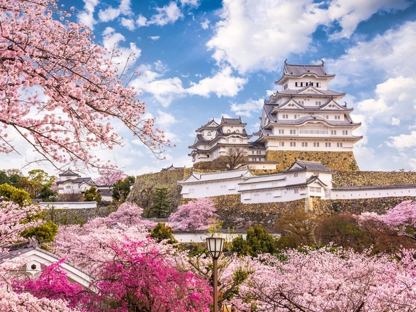 Himeji Castle in spring