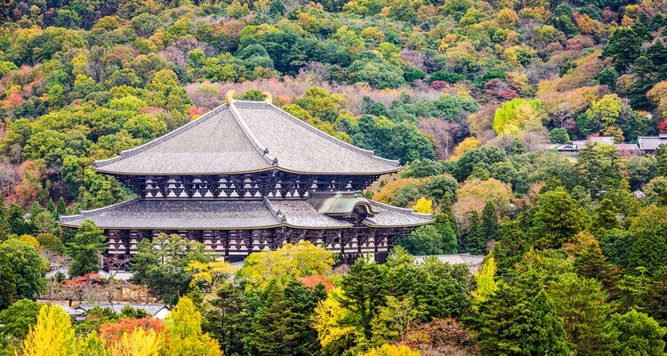 Todaiji Temple in the fall in Nara