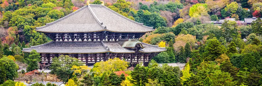 The tree ensconced temple of Todaiji