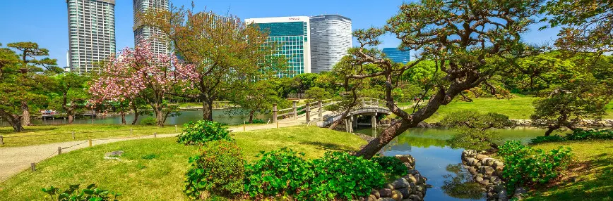 Hamarikyu Gardens
