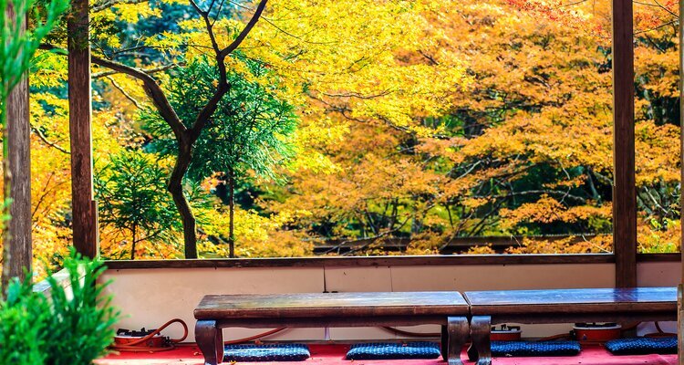 Mt. Takao