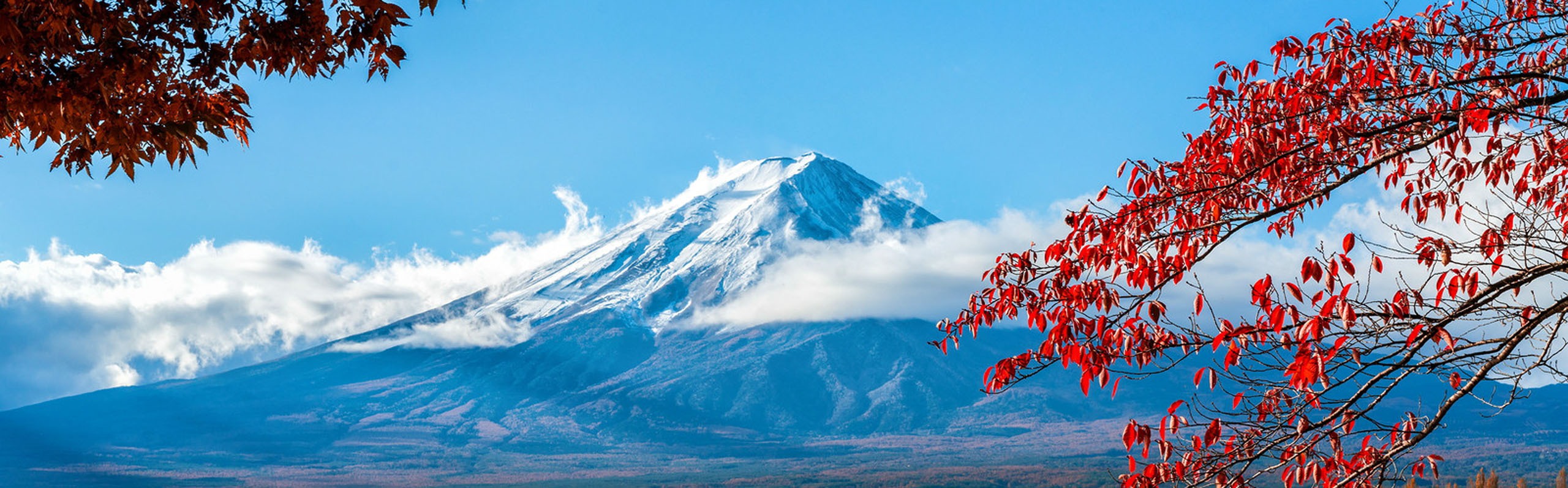 6 Best Reasons Why Visit Japan: More Than Culture & Food