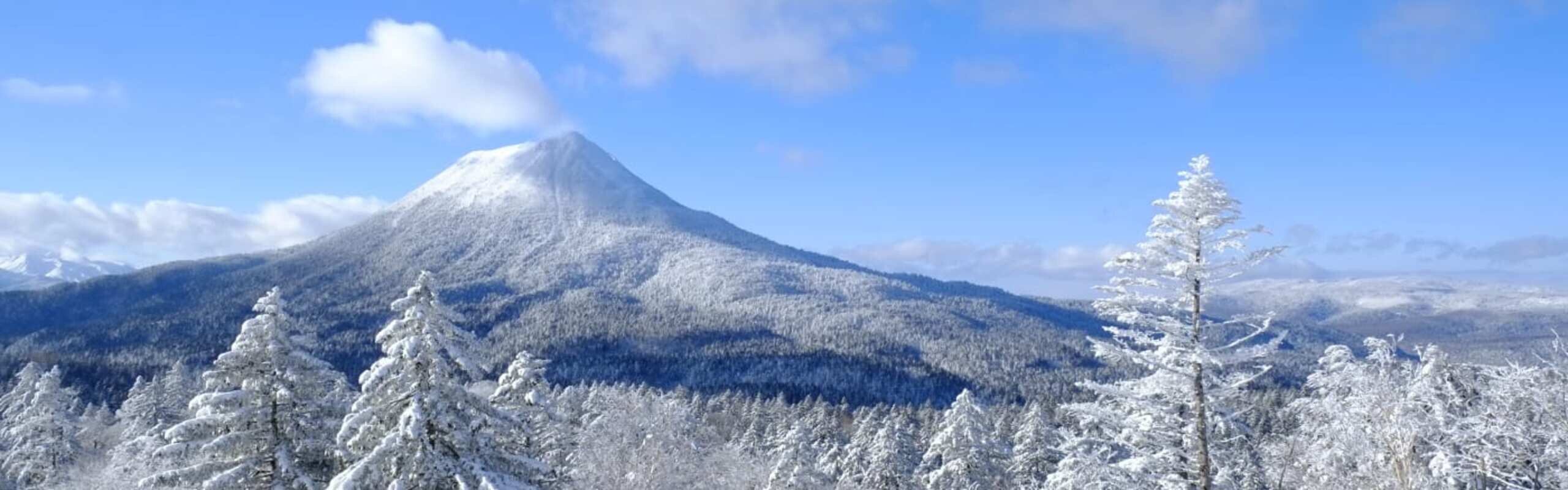 Top Things to Do in Hokkaido in Winter in 7 Days