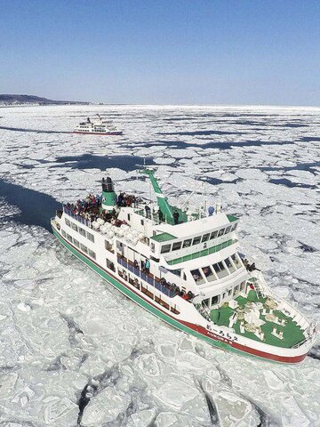 Board an icebreaker ship and explore the floating ice
