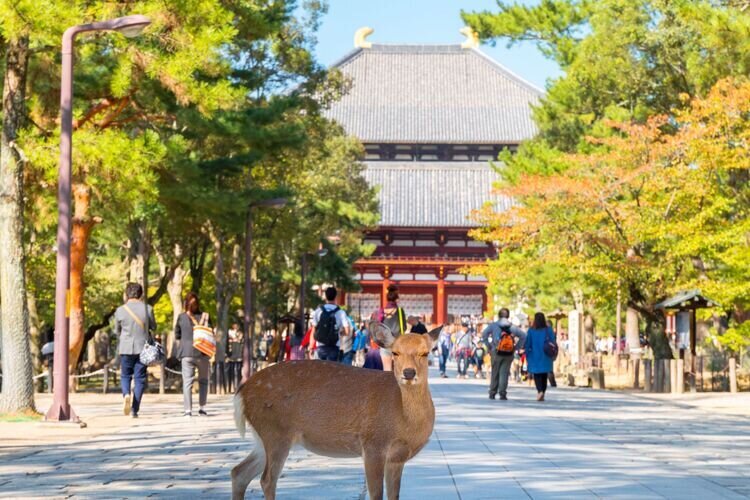 Nara