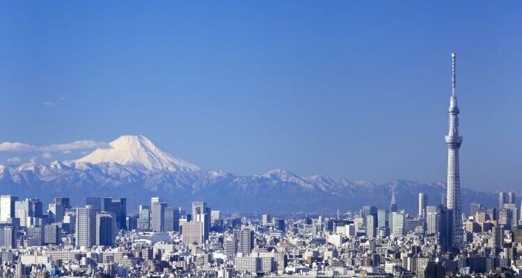 Tokyo in Winter