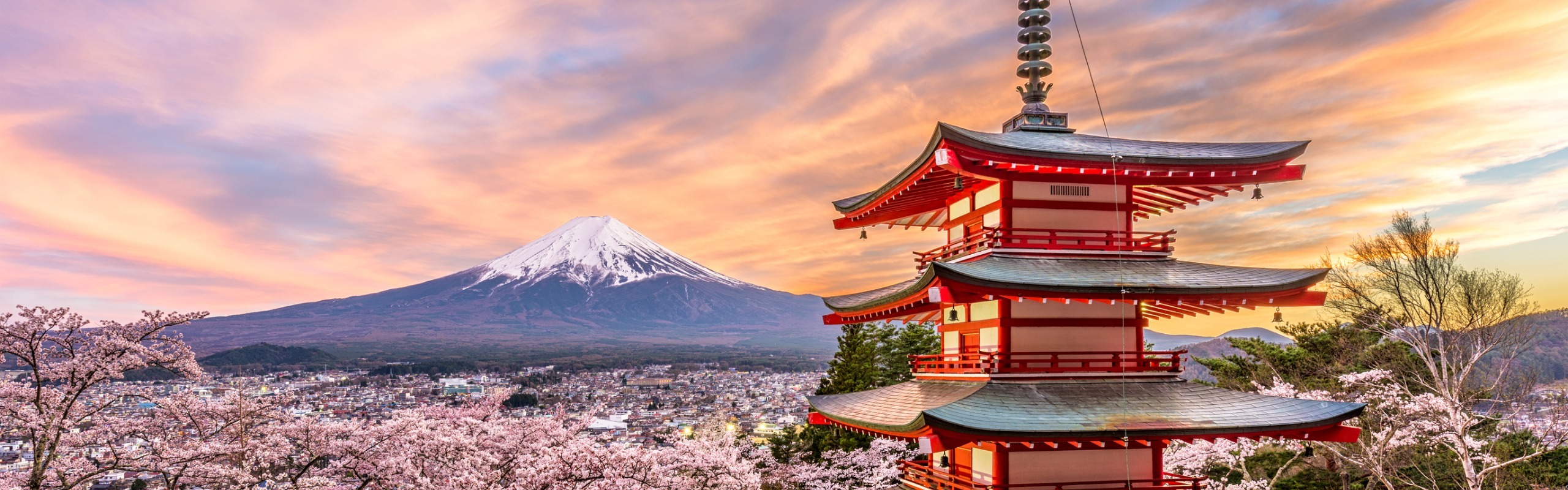 8 Best Day Trips from Tokyo: Ideas to Help You Pick