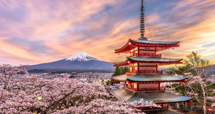 Mount Fuji in cherry blossom season in Japan