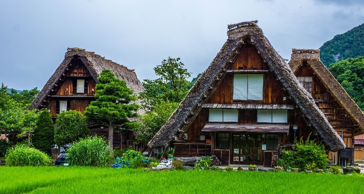 Unique Traditional Hourses in Shirakawa-go