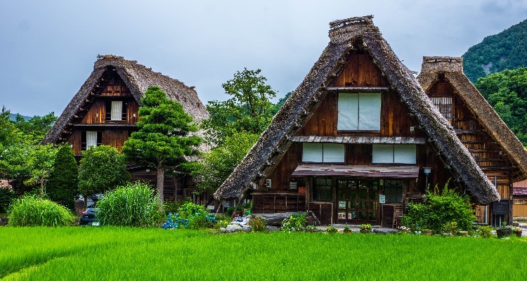 Farmhouses in Shirakawa-go