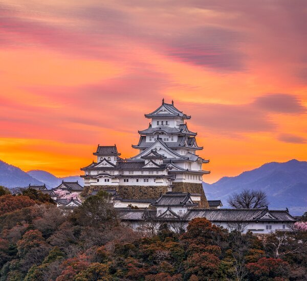 Leggingli yapon ayolining sonlari orasidagi porno