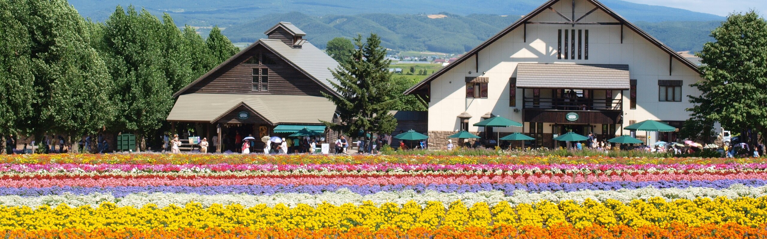 How Many Days Should You Spend in Hokkaido? 3,7 or 14 Days?