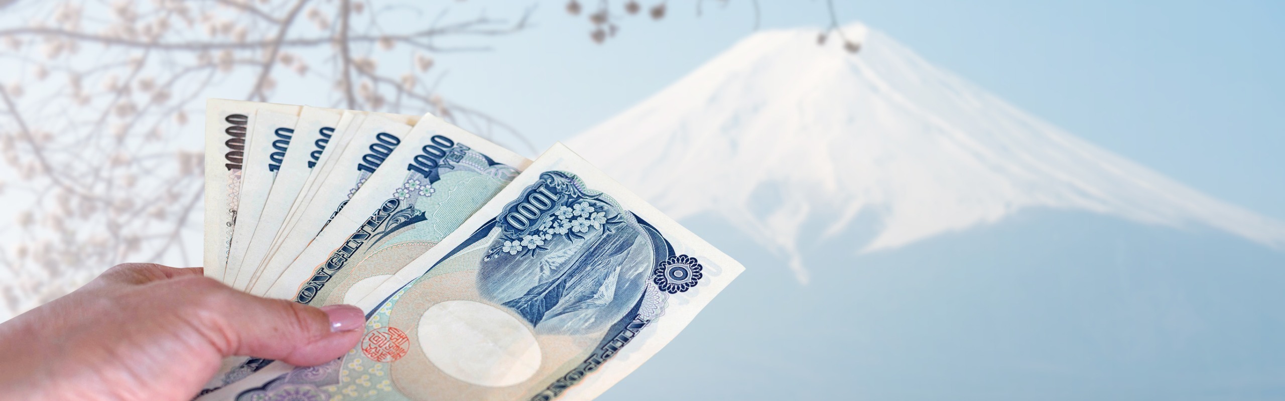 How Much Is a Trip to Japan