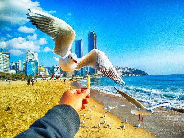  Haeundae Beach
