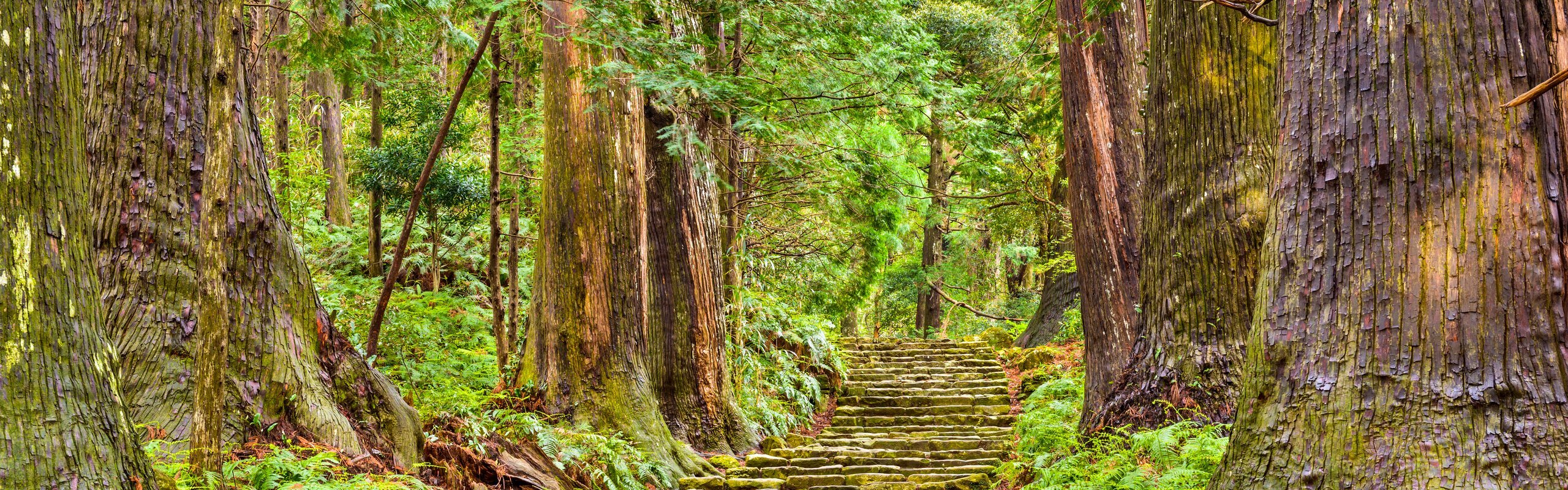 Kumano Kodo Map: Find Your Route & Plan Your Hike