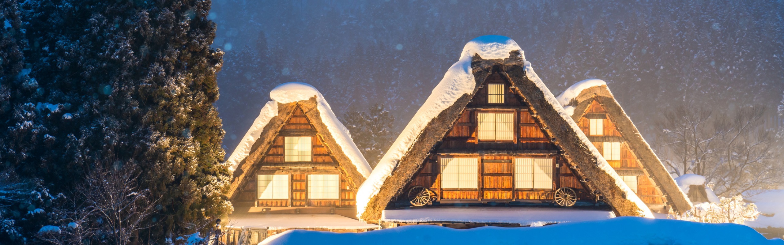 Visiting Japan in Winter: Top Places, Weather, and Travel Tips