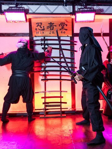 Master authentic fighting techniques straight from a ninja master