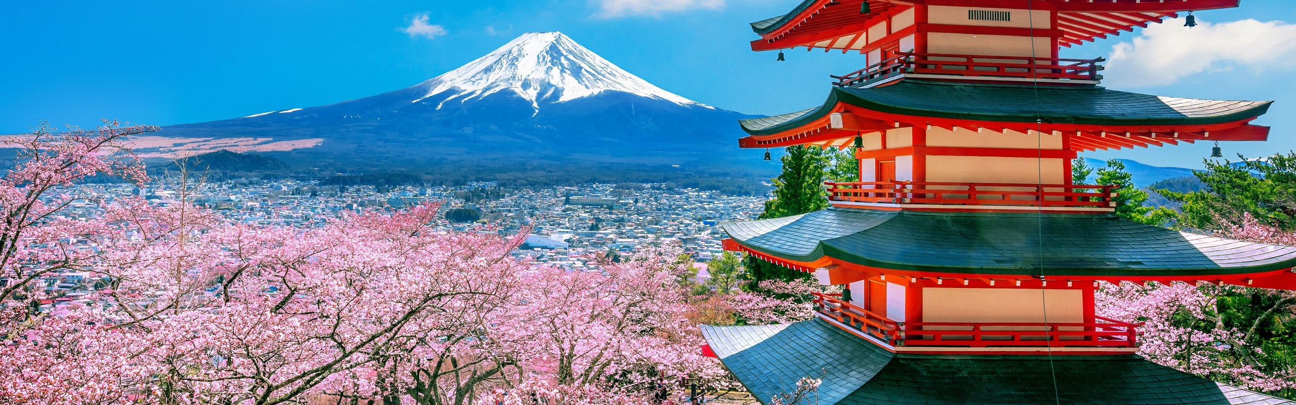 7-Day Japan Cherry Blossom Tour 2025: Essential Mini-Group Tour