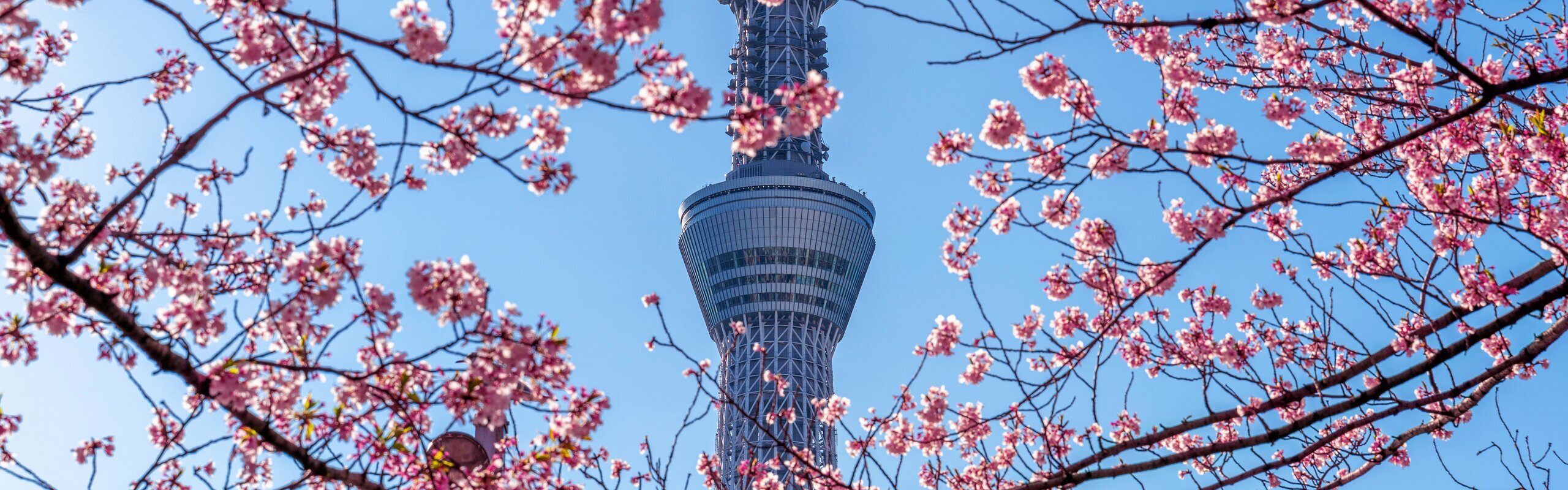 Tokyo Weather in March