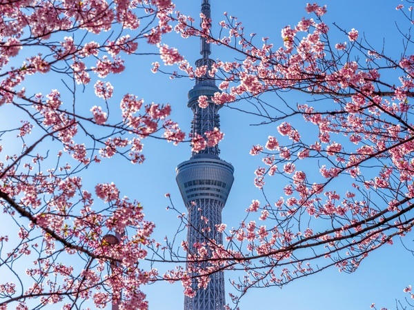 The Tokyo Skytree