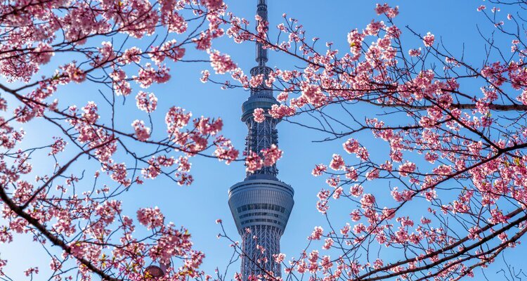 Tokio