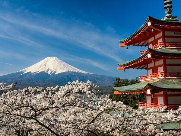 Experience the breathtaking scenery of Mount Fuji