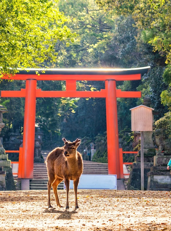 Nara