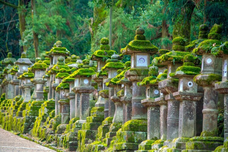 Kasuga Taisha Shrine