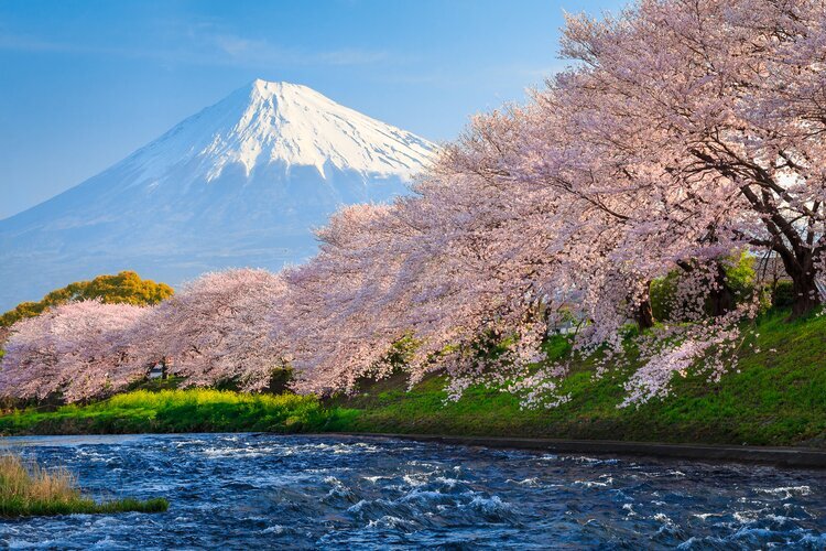See Mount Fuji from Lake Kawaguchi