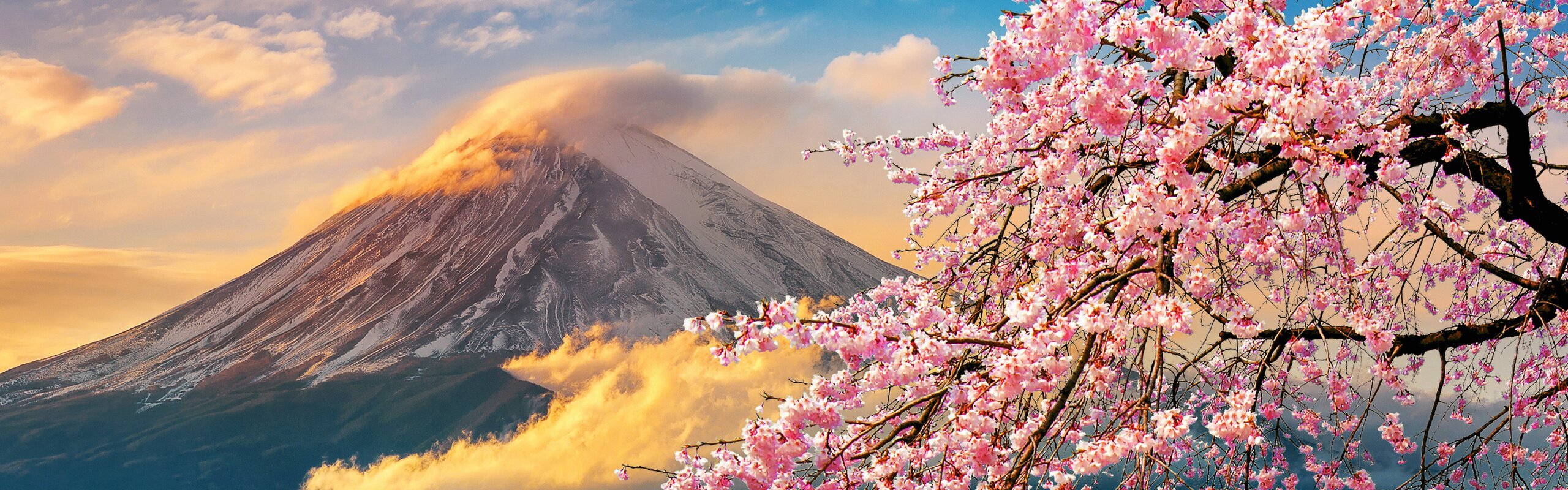 Mt Fuji Travel Guide - Tips for Planning a Trip To Mt Fuji