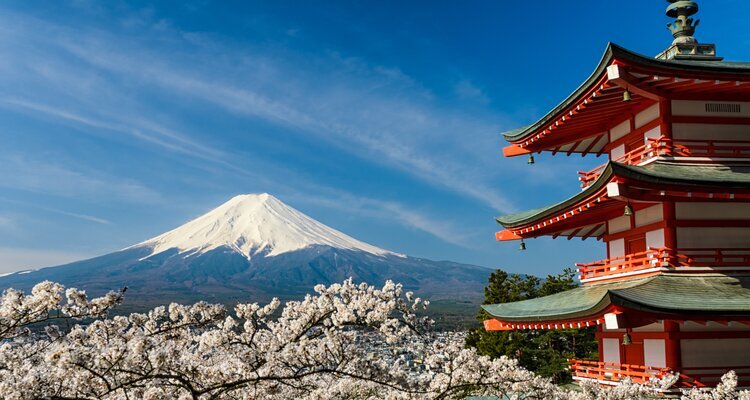 Arakurayama Sengen Park in cherry blossom season